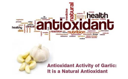 Garlic antioxidants